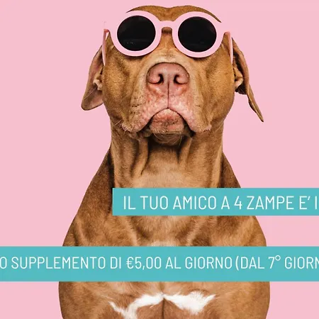 Nizza Hotel Riccione